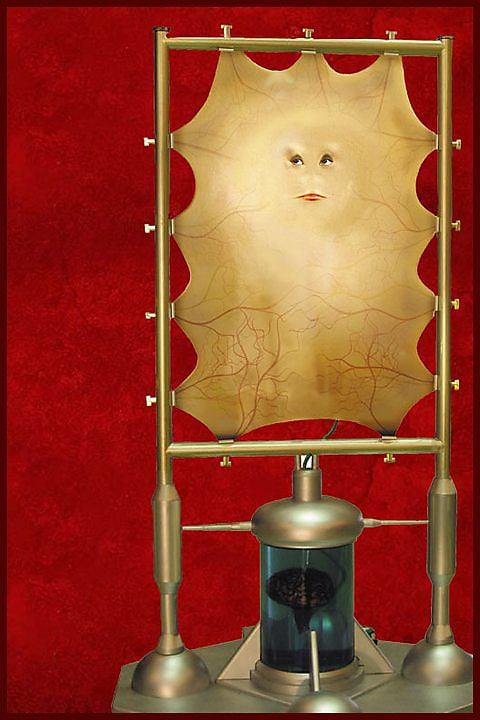 Me mum's Blank Meme Template