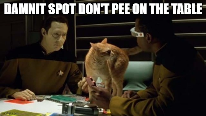 Bad Spot | DAMNIT SPOT DON'T PEE ON THE TABLE | image tagged in spot from star trek tng | made w/ Imgflip meme maker