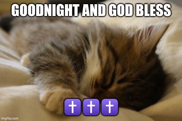 Night twin | GOODNIGHT AND GOD BLESS; ✝️✝️✝️ | image tagged in goodnight | made w/ Imgflip meme maker