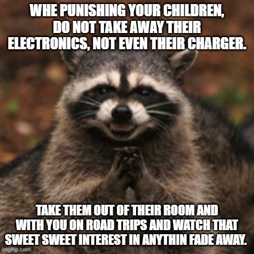 Evil plotting raccoon  | WHE PUNISHING YOUR CHILDREN, DO NOT TAKE AWAY THEIR ELECTRONICS, NOT EVEN THEIR CHARGER. TAKE THEM OUT OF THEIR ROOM AND WITH YOU ON ROAD TRIPS AND WATCH THAT SWEET SWEET INTEREST IN ANYTHIN FADE AWAY. | image tagged in evil plotting raccoon | made w/ Imgflip meme maker