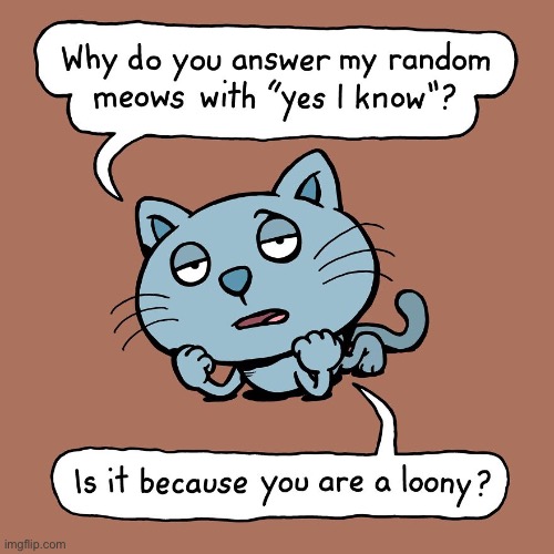 Cattitude | image tagged in cats,cattitude,comics,loony,random meows | made w/ Imgflip meme maker
