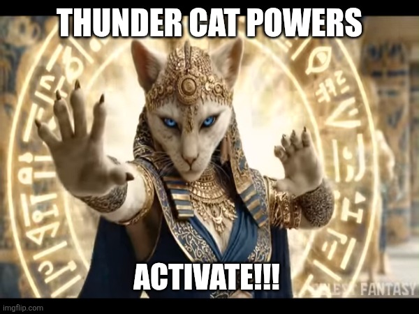 Cat Scratch Fever | THUNDER CAT POWERS; ACTIVATE!!! | image tagged in magic the gathering,magic school bus,magic 8 ball,imagine dragons,chemistry cat,persian cat room guardian | made w/ Imgflip meme maker