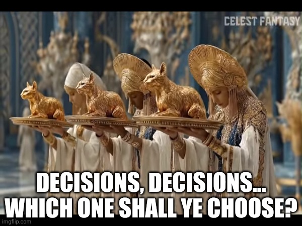 Love Is A Fickle Mistress | DECISIONS, DECISIONS... WHICH ONE SHALL YE CHOOSE? | image tagged in choose your fighter,choose wisely,i choose you | made w/ Imgflip meme maker