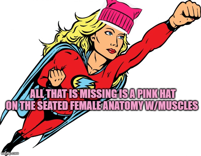 ALL THAT IS MISSING IS A PINK HAT
ON THE SEATED FEMALE ANATOMY W/MUSCLES | image tagged in female superhero | made w/ Imgflip meme maker
