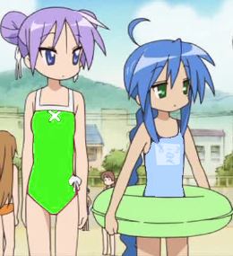 Konata and Kagami are my heroes Blank Meme Template