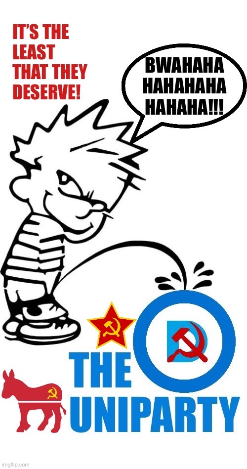 The enemies of The U.S.A. And The Constitution… | image tagged in political meme,calvin peeing,the uniparty,the least that they deserve,enemies | made w/ Imgflip meme maker