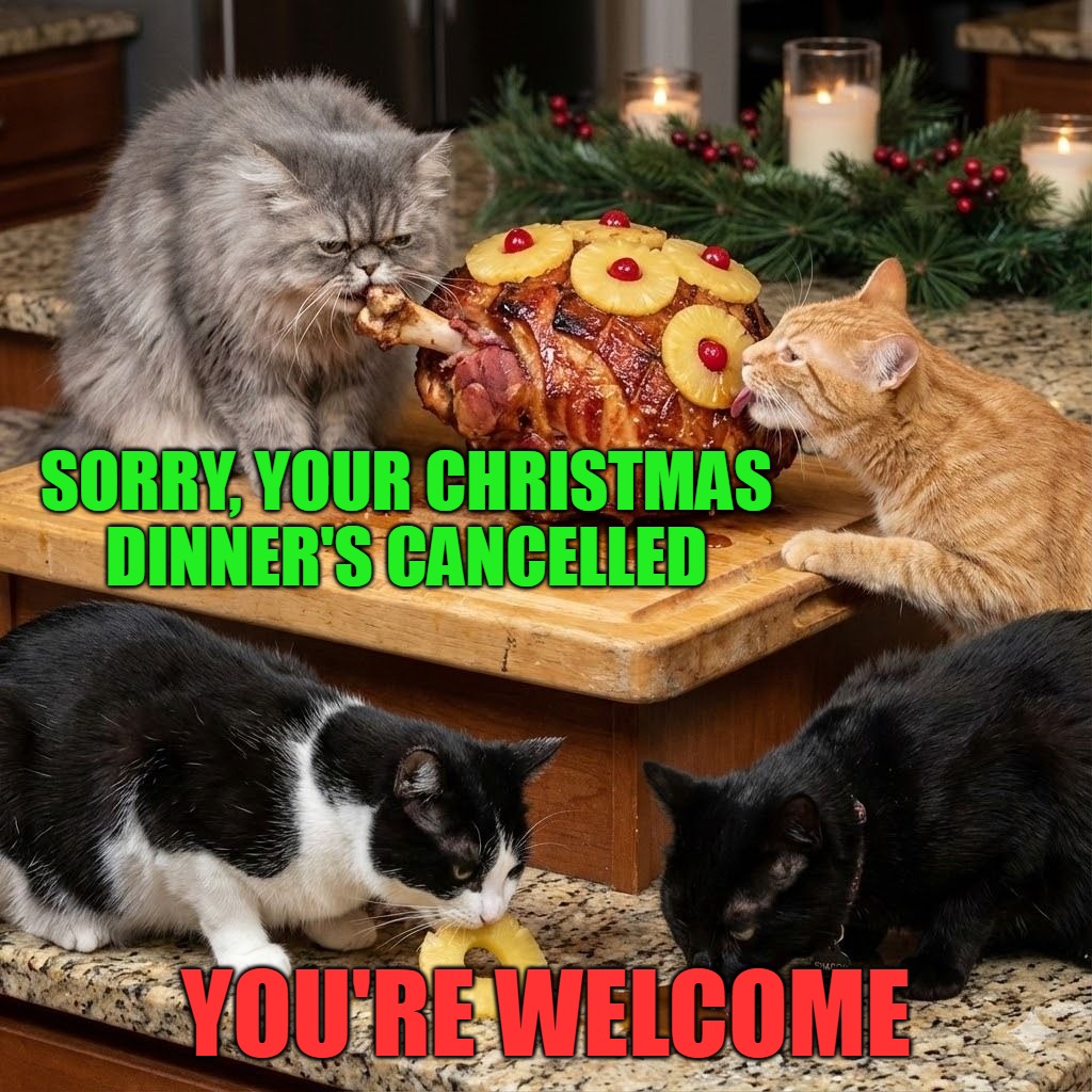 SORRY, YOUR CHRISTMAS DINNER'S CANCELLED; YOU'RE WELCOME | image tagged in memes,cats | made w/ Imgflip meme maker