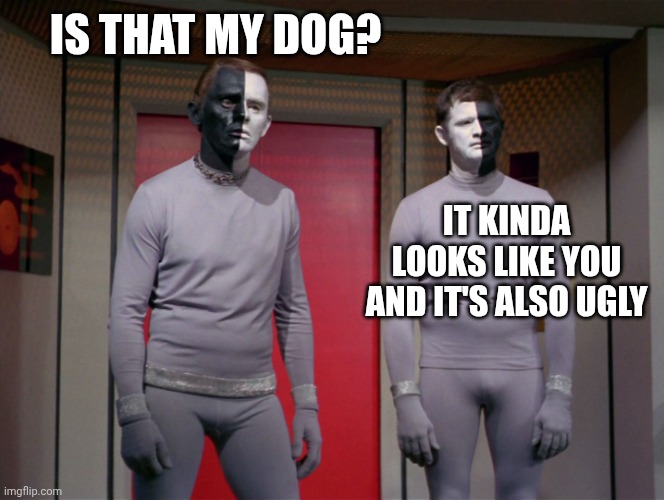 IS THAT MY DOG? IT KINDA LOOKS LIKE YOU
AND IT'S ALSO UGLY | image tagged in star trek black and white aliens | made w/ Imgflip meme maker