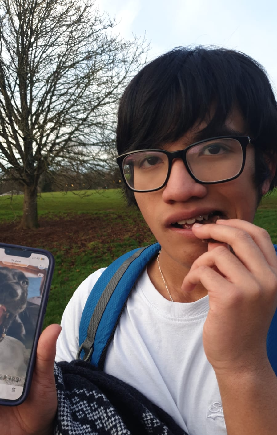 Bob dylan Blank Meme Template