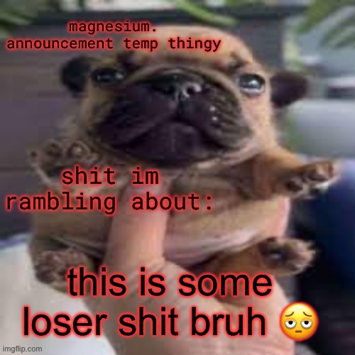 pug temp | this is some loser shit bruh 🫩 | image tagged in pug temp | made w/ Imgflip meme maker