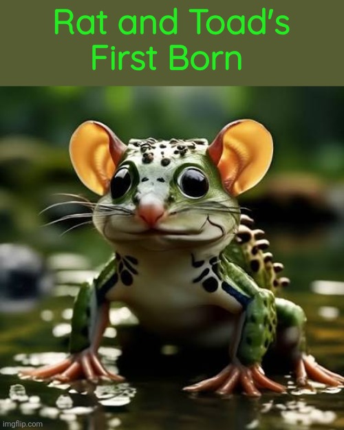 Rat and Toad's First Born | made w/ Imgflip meme maker