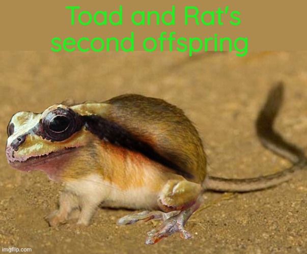 Toad and Rat's second offspring | made w/ Imgflip meme maker