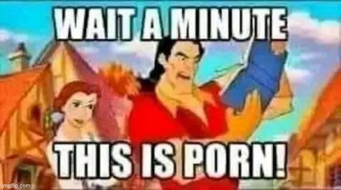Wait a minute! This is porn! | image tagged in wait a minute this is porn | made w/ Imgflip meme maker