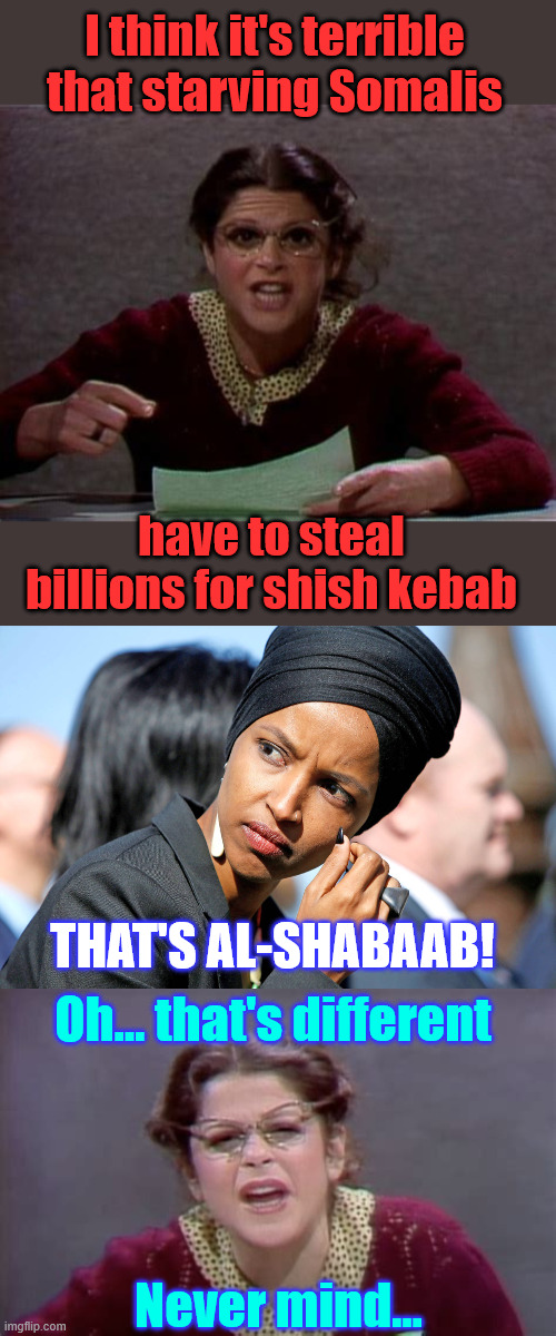 Stealing billions from the US taxpayers | I think it's terrible that starving Somalis have to steal billions for shish kebab THAT'S AL-SHABAAB! Oh... that's different Never mind... | image tagged in ilhan omar,stealing billions from taxpayers | made w/ Imgflip meme maker