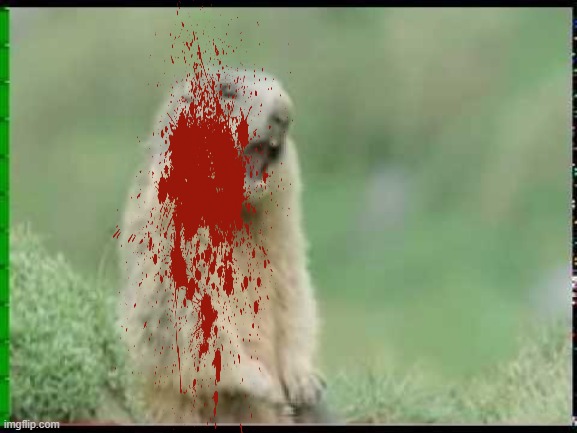 My fun meme | made w/ Imgflip meme maker