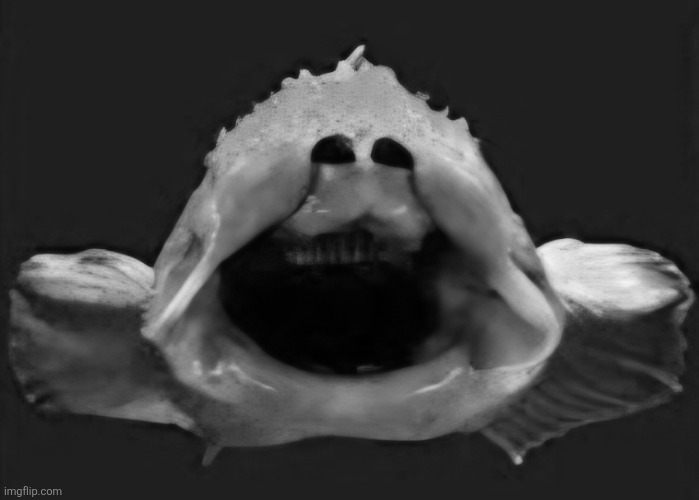 SCP-1128-RU Blank Meme Template