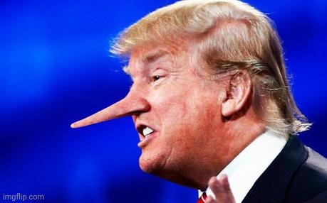 Trump Pinoccio | image tagged in trump pinoccio | made w/ Imgflip meme maker