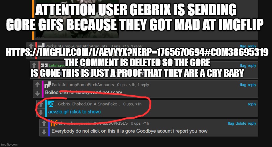 Cry baby gebrix posting gore that is deleted | ATTENTION USER GEBRIX IS SENDING GORE GIFS BECAUSE THEY GOT MAD AT IMGFLIP; HTTPS://IMGFLIP.COM/I/AEVYYX?NERP=1765670694#COM38695319 THE COMMENT IS DELETED SO THE GORE IS GONE THIS IS JUST A PROOF THAT THEY ARE A CRY BABY | made w/ Imgflip meme maker