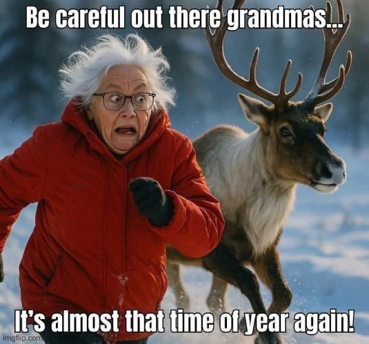 Watch out, Grandma! | image tagged in grandma,beware,reindeer,christmas songs,christmas memes | made w/ Imgflip meme maker
