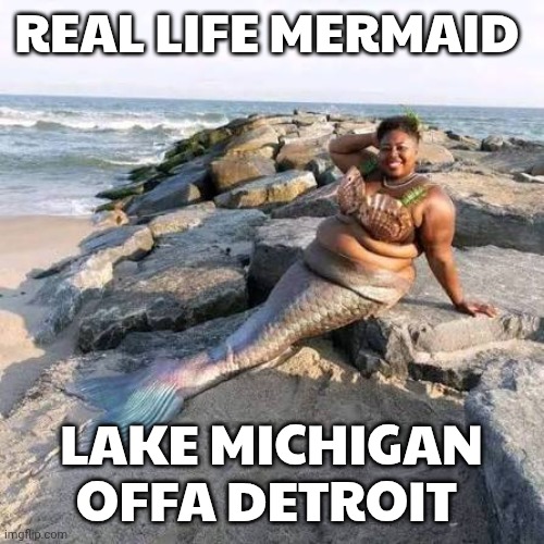 Mermaid memes | REAL LIFE MERMAID; LAKE MICHIGAN OFFA DETROIT | image tagged in detroit | made w/ Imgflip meme maker