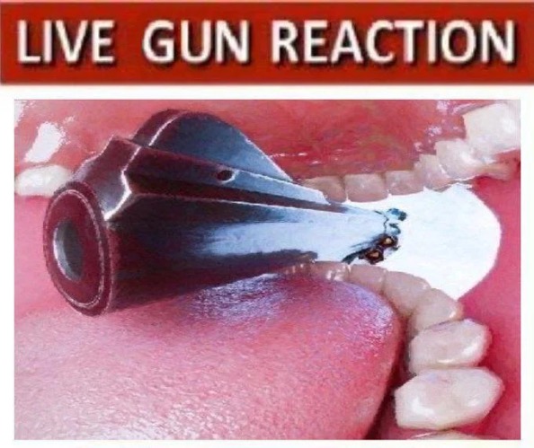 live gun reaction | image tagged in live gun reaction | made w/ Imgflip meme maker