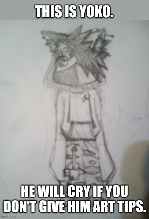 THIS IS YOKO. HE WILL CRY IF YOU DON'T GIVE HIM ART TIPS. | made w/ Imgflip meme maker