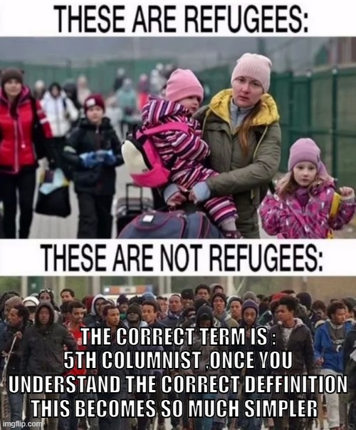 THE CORRECT TERM IS : 5TH COLUMNIST ,ONCE YOU UNDERSTAND THE CORRECT DEFFINITION THIS BECOMES SO MUCH SIMPLER | made w/ Imgflip meme maker