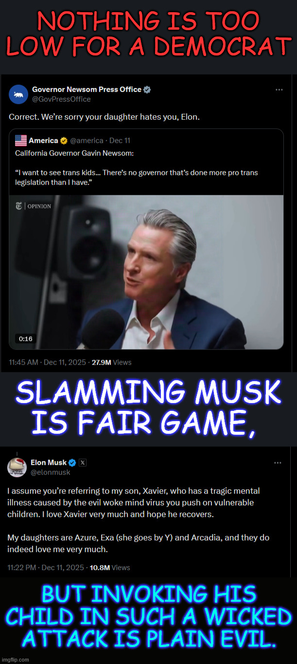Nothing is too low for a democrat | NOTHING IS TOO LOW FOR A DEMOCRAT; SLAMMING MUSK IS FAIR GAME, BUT INVOKING HIS CHILD IN SUCH A WICKED ATTACK IS PLAIN EVIL. | image tagged in nothing is too low for a democrat,gong after other peoples kids,it's what they do | made w/ Imgflip meme maker