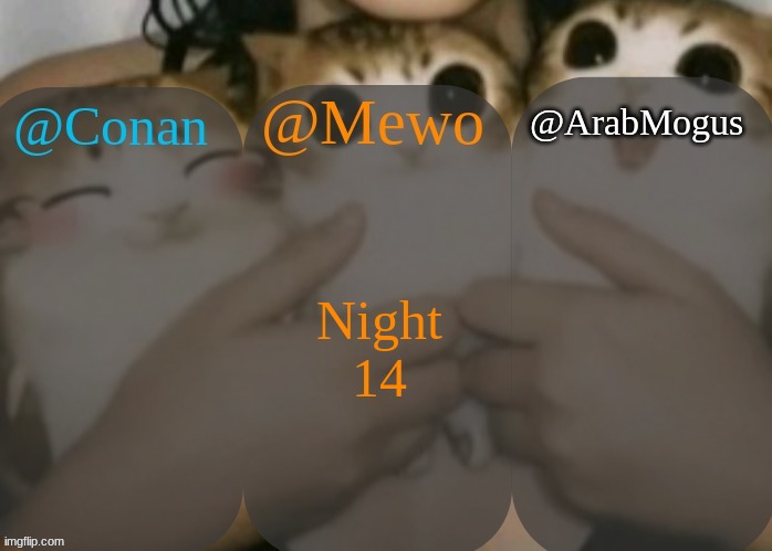 Conan, Mewo, Arabmogus shared template | Night 14 | image tagged in conan mewo arabmogus shared template | made w/ Imgflip meme maker
