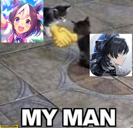 Umamusume and Wuthering Waves after the Game Awards | image tagged in cats shaking hands,umamusume,wuthering waves | made w/ Imgflip meme maker