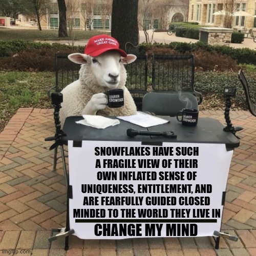 CHANGE MY MIND | SNOWFLAKES HAVE SUCH A FRAGILE VIEW OF THEIR OWN INFLATED SENSE OF UNIQUENESS, ENTITLEMENT, AND ARE FEARFULLY GUIDED CLOSED MINDED TO THE WORLD THEY LIVE IN; CHANGE MY MIND | image tagged in change my mind,snowflakes,maga,trump,entitlement,fear | made w/ Imgflip meme maker