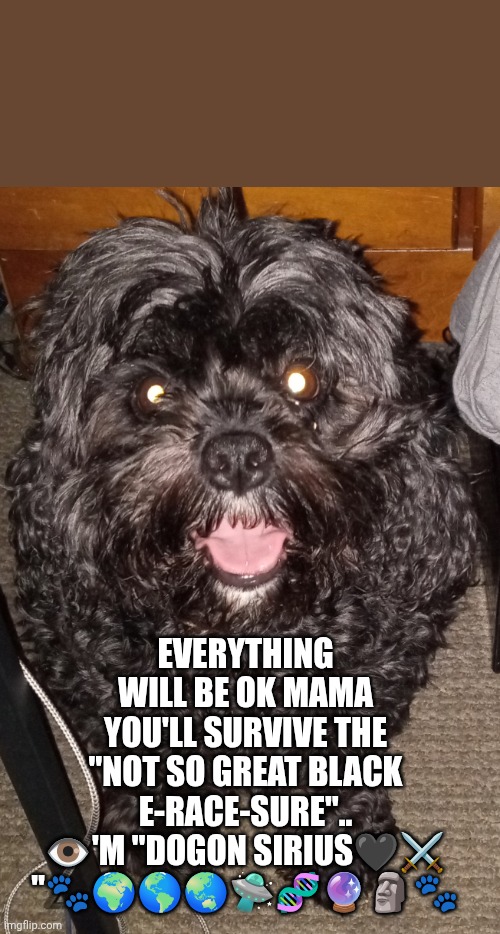 Dogon Sirius | EVERYTHING WILL BE OK MAMA YOU'LL SURVIVE THE "NOT SO GREAT BLACK E-RACE-SURE".. 👁️'M "DOGON SIRIUS🖤⚔️
"🐾🌍🌎🌏🛸🧬🔮🗿🐾 | image tagged in dogs,protection | made w/ Imgflip meme maker