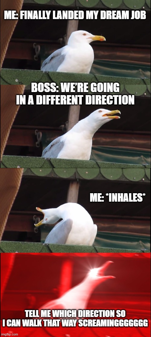 Inhaling Seagull Meme | ME: FINALLY LANDED MY DREAM JOB; BOSS: WE’RE GOING IN A DIFFERENT DIRECTION; ME: *INHALES*; TELL ME WHICH DIRECTION SO I CAN WALK THAT WAY SCREAMINGGGGGGG | image tagged in memes,inhaling seagull,job,fired | made w/ Imgflip meme maker