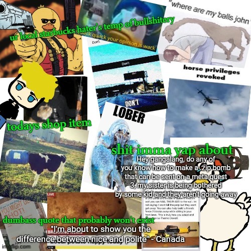 temp of bullshitery | Hey gangalang, do any of you know how to make a .zip bomb that can be sent on a meta quest 3, my sister is being bothered by some kid and they aren't going away; "I'm about to show you the difference between nice and polite" - Canada | image tagged in temp of bullshitery | made w/ Imgflip meme maker