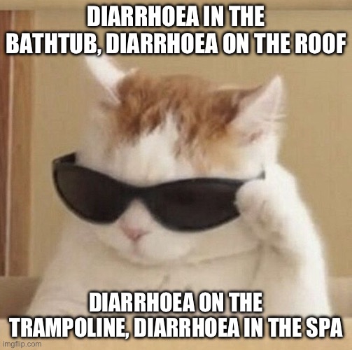 Here’s DJ Kitty 2.0. | DIARRHOEA IN THE BATHTUB, DIARRHOEA ON THE ROOF; DIARRHOEA ON THE TRAMPOLINE, DIARRHOEA IN THE SPA | image tagged in cool cat | made w/ Imgflip meme maker