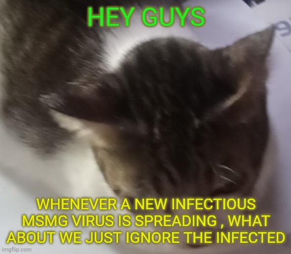 Ming mong | HEY GUYS; WHENEVER A NEW INFECTIOUS MSMG VIRUS IS SPREADING , WHAT ABOUT WE JUST IGNORE THE INFECTED | image tagged in ming mong | made w/ Imgflip meme maker