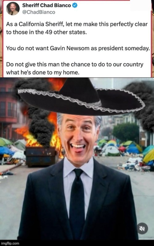 Sheriff campaigns against Greasy Gavin Newsom | image tagged in gavin,idiot,campaign | made w/ Imgflip meme maker