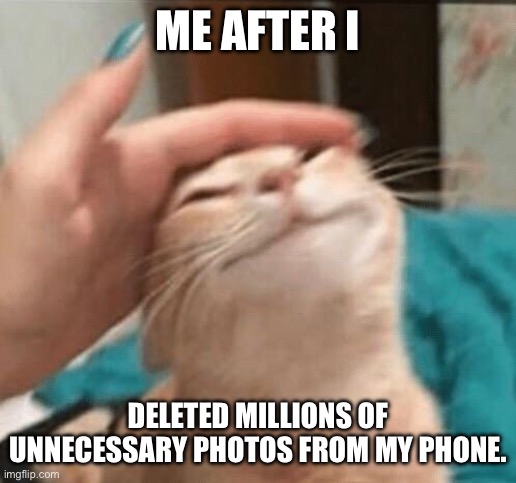 Cat being pet | ME AFTER I; DELETED MILLIONS OF UNNECESSARY PHOTOS FROM MY PHONE. | image tagged in cat being pet | made w/ Imgflip meme maker