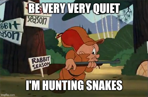 Elmer Fudd | BE VERY VERY QUIET; I'M HUNTING SNAKES | image tagged in elmer fudd | made w/ Imgflip meme maker