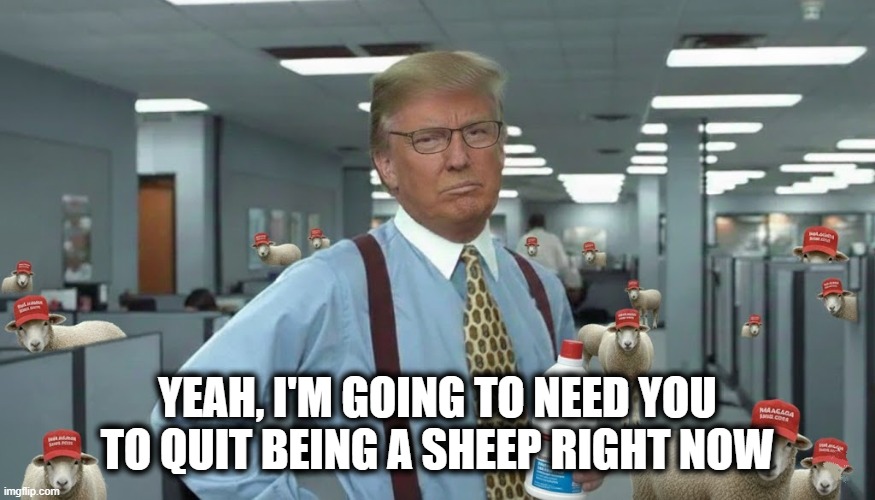 QUIT BEING A SHEEP | YEAH, I'M GOING TO NEED YOU TO QUIT BEING A SHEEP RIGHT NOW | image tagged in office space,office space bill lumbergh,trump,maga,sheep,i need you | made w/ Imgflip meme maker