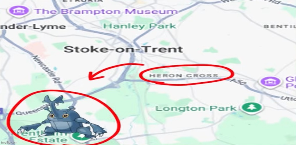 heron cross | image tagged in heracross,pokemon,name soundalikes | made w/ Imgflip meme maker