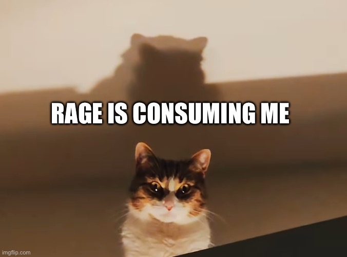Rage | RAGE IS CONSUMING ME | image tagged in staring cat | made w/ Imgflip meme maker
