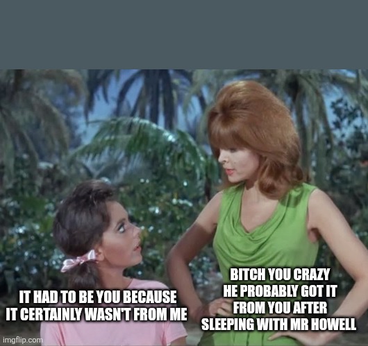 Mary Ann and Ginger | IT HAD TO BE YOU BECAUSE IT CERTAINLY WASN'T FROM ME BITCH YOU CRAZY HE PROBABLY GOT IT FROM YOU AFTER SLEEPING WITH MR HOWELL | image tagged in mary ann and ginger | made w/ Imgflip meme maker