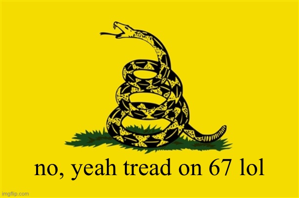 dont tread on me | no, yeah tread on 67 lol | image tagged in dont tread on me | made w/ Imgflip meme maker