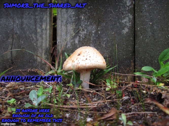 Shmorb temp | IS ANYONE HERE ENOUGH OF AN OLD ENOUGH TO REMEMBER THIS | image tagged in shmorb temp | made w/ Imgflip meme maker