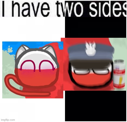 images from polish tortoise's most recent video (Eastern Europe.exe) | image tagged in i have two sides | made w/ Imgflip meme maker