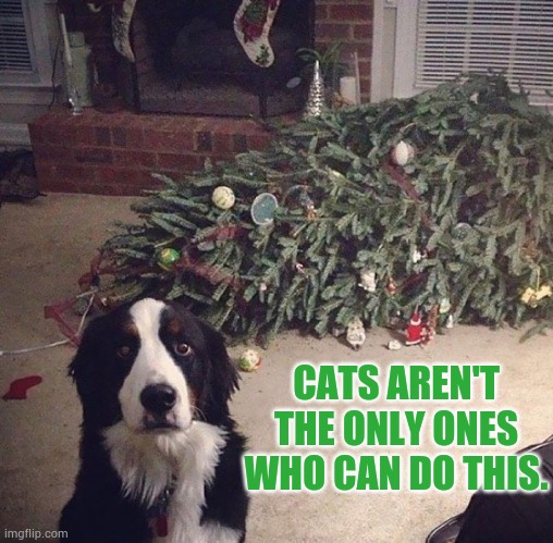 Don't Leave The Dogs Out At Christmas | CATS AREN'T THE ONLY ONES WHO CAN DO THIS. | image tagged in memes,dogs,knock,over,christmas tree,dog vs cat | made w/ Imgflip meme maker