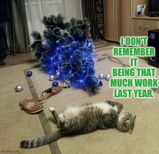 Another Christmas Tree Tipping | I DON'T REMEMBER IT BEING THAT MUCH WORK LAST YEAR. | image tagged in memes,cats,tipping,christmas tree,after all these years,hard work | made w/ Imgflip meme maker