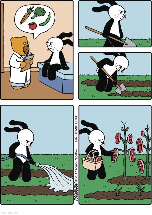 Buni Comics | image tagged in comics,buni comics,doctor,vegetables,steaks,garden | made w/ Imgflip meme maker