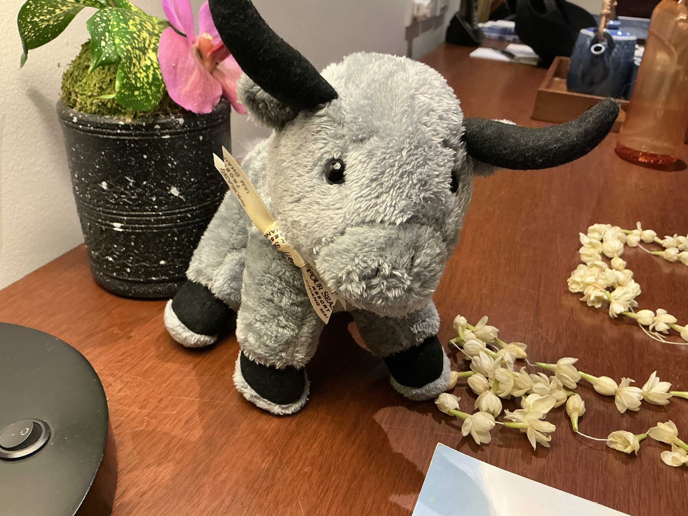 I don’t know what I’m doing with my life Blank Meme Template